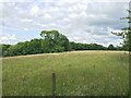 Pasture on Irish Hill in RG20 0JB