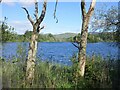 Loch of Clunie from the south in PH10 6RG