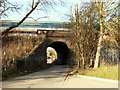 Railway bridge viewed from Harold Court Woods in RM3 9TA