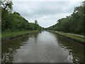 The Bridgewater canal, east of Boothstown in Boothstown & Ellenbrook Ward