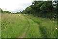 Bridleway approaching the road in GL56 0SJ