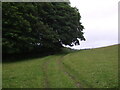 Farm track and woodland off the A595 in LA17 7XG