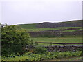 Farmland and stone walls above the A5092 in LA17 7UN