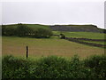 Grazing above the A5092, Beanthwaite in LA17 7UN