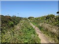 The bridleway across Trenowin Downs in TR20 8BE