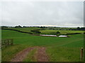 Grassland and pond near Lindal-in-Furness in LA12 0LW