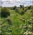 Old railway from bridge in ML1 5NF