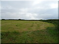 Coastal cut silage field near Aldingham in Low Furness Ward