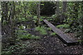 Boardwalk in the woods at Lucas Green in GU24 9NT