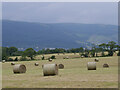 Bales above Kilcreggan in G84 0PL