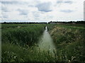 Drain, New Long Drove, Holme Fen in PE7 3PR