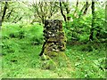 Knockour Hill Trig Point in G83 8LX