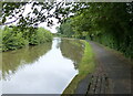 Towpath along the Shropshire Union Canal in Rowton