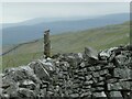 Bird on a wooden post in Conistone with Kilnsey