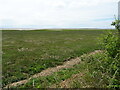 Saltmarsh towards Roosecote Sands in LA13 9RQ