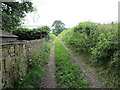 Enclosed track and path leaving Woodsome Lees in HD8 0PL