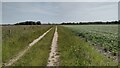 Path up past Tinker's Barn in IP18 6UZ