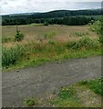 View from Knowes Colliery woodland path in EH47 9DL