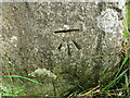 Ordnance Survey Cut Mark in KY16 8LS