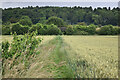 Path across fields to railway bridge in SP5 3SD