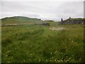 Field corner, Fennachrochan in PA34 5UN