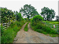 Cart track out of the village, Newton Reigny in CA11 0AY
