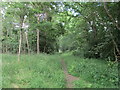 Path passing between Windmill Hill Plantation and Southey Wood in PE6 7EN