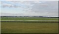 Newmarket Racecourse in CB8 0TW