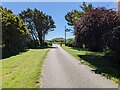 The lane from Chytodden in TR26 3AF