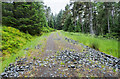 Forest road rising to col on Drummond Hill in PH15 2LR
