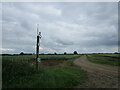 Track to Fox Cover Farm in PE6 9EP