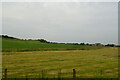 Cut silage field towards Low Greenscoe Farm in LA16 7BY