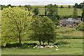 Valley view, Ebbesbourne Wake in SP5 5JS