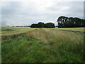 Grass track near Braceborough in Braceborough and Wilsthorpe