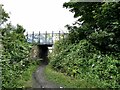 Bridge on the Bowes Railway path in NE10 8RL