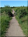 Path across peat bog in ML2 8RH