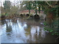 Somerset Bridge on River Wey in GU8 6FF