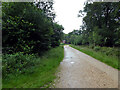 Track leading out of Churchplace Inclosure in SO40 7FF