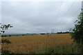 Electricity lines crossing farmland in YO25 4LJ