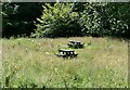 Abandoned picnic area in Carrickshill Wood in DH9 8US