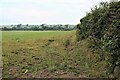 Field with hedges at Busbiehill in KA11 3BL