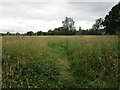 Footpath through an uncultivated field, Braceborough in PE9 4NT