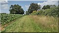 Path nearing Grange Lane in OX15 5RH