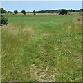 Grass field between Gormyre and Kipps farm in EH49 6PN