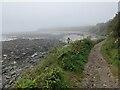 The South West Coast Path at Trenow Cove in TR20 9NZ