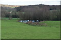 Small pond seen from Sponden Lane in TN18 5NP
