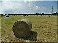 Farmland by Tilts Lane in DN5 0LL