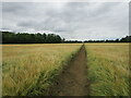 Footpath to Greatford in PE9 4NT