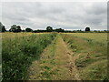Footpath to Wilsthorpe and Braceborough in PE9 4NT