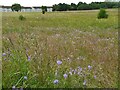 Meadow, Robroyston Park in G33 1EA
